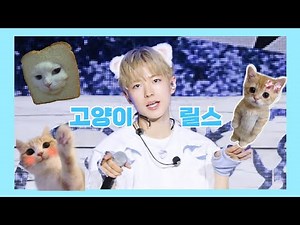 [4K] 250902 고양이릴스 우희희즈 포커스 @coex #엔시티위시 #유우시 #우희희즈 #고양이릴스