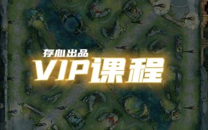 VIP运营课程来了