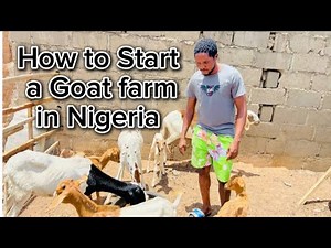 How to Start a Goat🐐 Farm in Nigeria