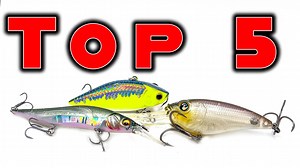 Bass fishing is awesome in November! https://bit.ly/3QdGhfz