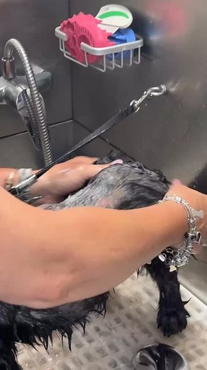 1.1K reactions · 17 shares | Someone’s life just changed for the...