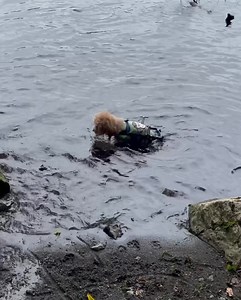 152K views · 10K reactions | After my earlier shenanigans, I didn’t...