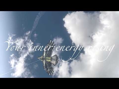 Energising AM Visualisation + 55Mins Waves | Forest Cabin & Harbour Sunrise | Soft Female Voice