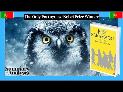 Blindness by Jose Saramago - summary and analysis
