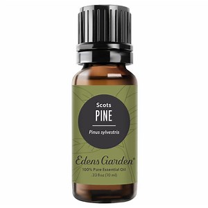 Pine- Scots Essential Oil