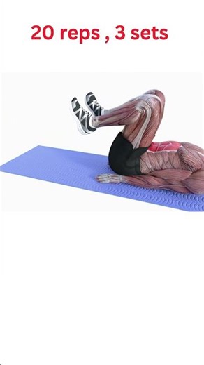 Best Lower Abs Workout at Home – Burn Belly Fat Fast!