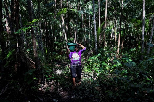 Why we need a new way forward for food systems at COP30