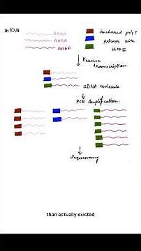 UMI - Unique Molecular Identifiers #biology #science #geneexpression #omics #rna