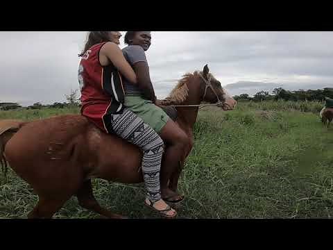 Fiji Horse Ride in Rural Nadi