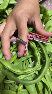 11K views · 12 reactions | Amazing viral video | Hi Patrick | Facebook