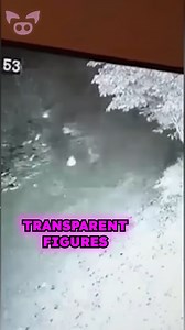 Unsettling CCTV Footage. #Scary #HellHound | Slapped Ham