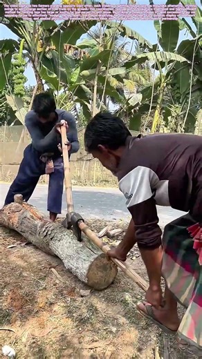 Double-Edged Rhythm: The Partnered Art of Splitting Wood