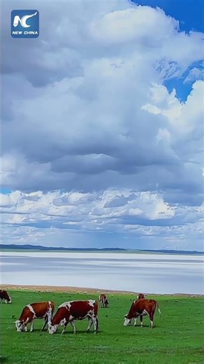 Milky-white lake in China's Inner Mongolia