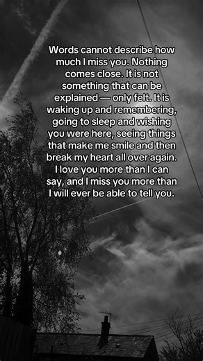 Words cannot describe how much I miss you. Nothing comes close. It is not something that can be explained — only felt. It is waking up and remembering, going to sleep and wishing you were here, seeing things that make me smile and then break my heart all over again. I love you more than I can say, and I miss you more than I will ever be able to tell you. #grief #griefquotes #sadquotes #missingyou #sad