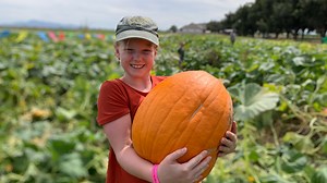 Pumpkin Patches in Phoenix - Phoenix With Kids (Updated for 2025)