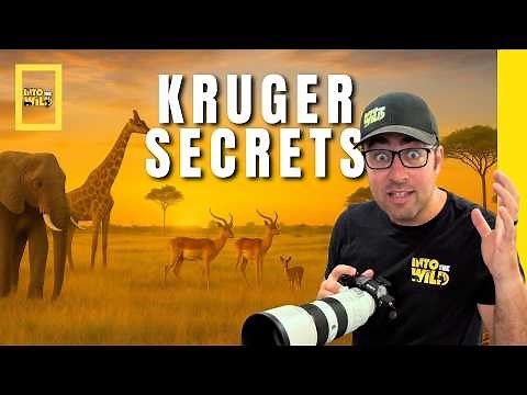 Kruger Park Secrets Revealed | 40 Years of Safari Experience
