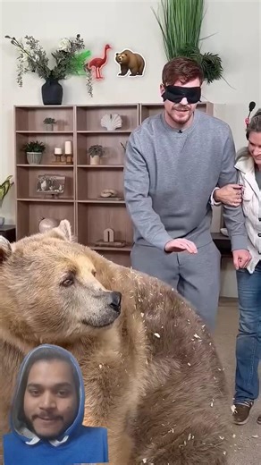 Guess the Animal in 5 Seconds! #Shorts #mrbeast