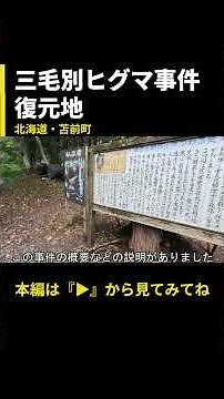 デッカイ熊が出たんだぞ！悲惨な事件の復元地！【北海道苫前町・三毛別羆事件復元地】メイン動画の切り抜き #どさんこ #日本一周 #どさんこ #三毛別羆事件 #羆 #熊