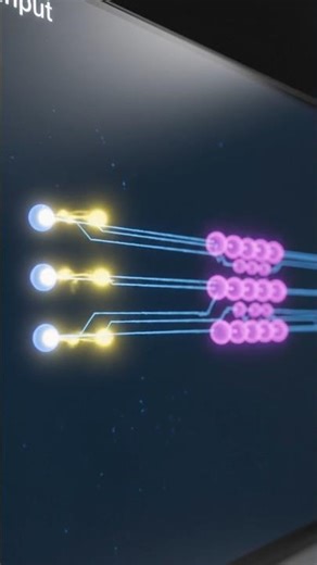 Neural Network Animation