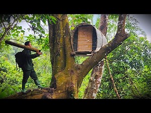 I Built a Secret Jungle Treehouse Shelter to Survive Alone