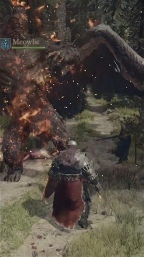 Two-For-One! #dragonsdogma #darkarisen #gaming#dragonsdogmaDLC