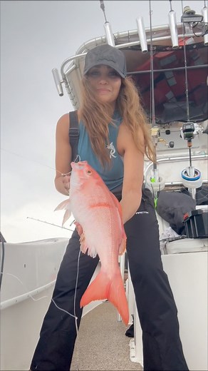 This beautiful fish is a Vermillion snapper also called B liner. Caught it deep dropping, but it’s so big that it almost looks like an American red! One of many species we caught way offshore with Saltwater CowboyOffshore Charters - planning a trip offshore in May. One slot left open hmu if you are interested! Reel Girl Clothing Company 🎣🎣🎣🎣🎣🎣🎣🎣#vermilionsnapper #snapper #delicious #organic #freshfish #healthyliving #healthylifestyle #deepdrop #offshorefishing #ladyangler #reelgirlclothi