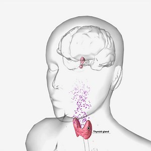 298 reactions · 15 shares | Our Qbanks feature 3D images to enhance your learning experience. Get your best USMLE score with Kaplan's expert instructors. Save 15% now. | Kaplan Health | Facebook