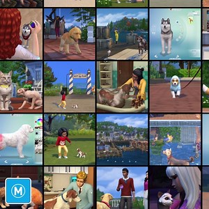 59K views · 71 shares | You've been eager to learn more about the new...