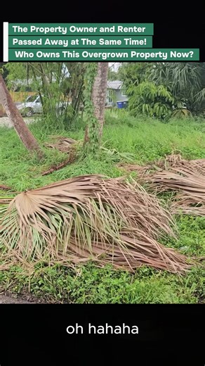 I feel like a coward for being afraid of a bat, but it really startled me. I hope you enjoy the before and after pictures.😅 #mowing #cleantok #tiktokusa #clean #help