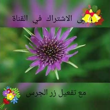 تعرف على نبتة لحية التيس عشبة عجيبة موجودة في كل مكان