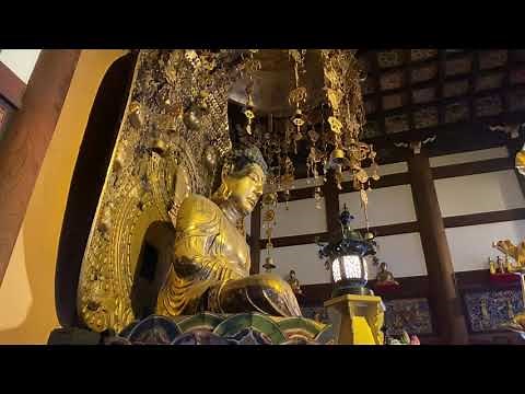 舞楽「蘭陵王」 雅樂千年乃会