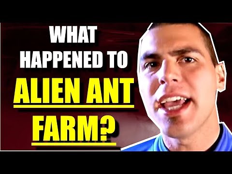ALIEN ANT FARM: The Strange History of the Band Behind 'Smooth Criminal' (Cover)
