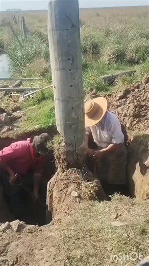🇦🇷🇦🇷 CAMPO_ARGENTINO ® 🇦🇷🇦🇷 on Instagram: "El quebracho colorado es un gigante noble de nuestras tierras, un guardián del monte chaqueño que se yergue con fuerza y dignidad, como si supiera que lleva siglos de historia en su tronco. Su madera es dura, densa, incorruptible… pero su alma es aún más firme: es símbolo de resistencia, de lucha, de identidad. No cualquier árbol resiste el paso del tiempo como él. El quebracho se planta en silencio, crece lento, se hace fuerte en soledad. Cada 