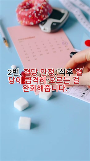 하루에 한번씩 먹으면 건강한 음식 치아시드의 대표적인 효과 다섯 가지