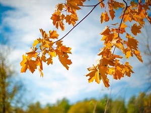 Lutheran Church Of The Resurrection Hosts 'Back To Church Sunday'