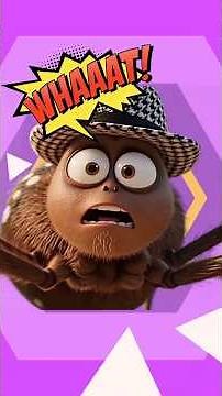 5 Amazing Facts about Spiders!