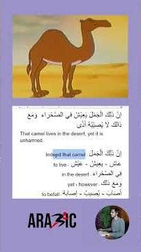 Learn Arabic phrases from cartoons part-2