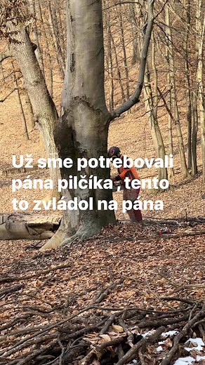 Dlho sme hladali pilčíka na tento strom . Prišiel až z Brezna chalan aby nám ho pomohol dať dole . Ani LKT netrebalo aby ho otočil . Ivan Goceliak veľké ďakujeme. Nebolo to prvý krát čo prišiel a pomohol | Farma na Zahoranoch - Rytierov Dvor