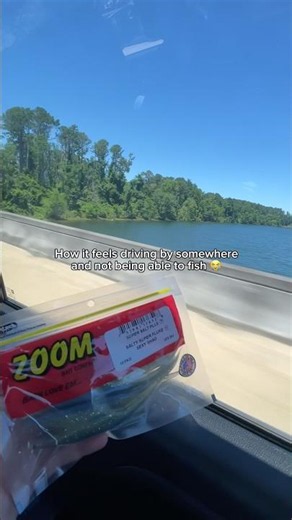 How it feels when you CANT fish 😭 #fishing #fihh #bassfishing