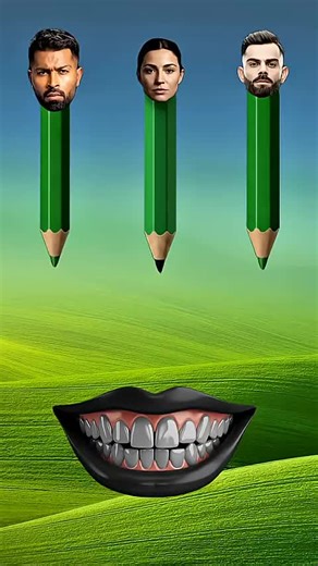 How to Build a Wooden Cabin: A Timelapse Guide