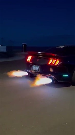 GTR vs Mustang vs Lamborghini vs Supra!