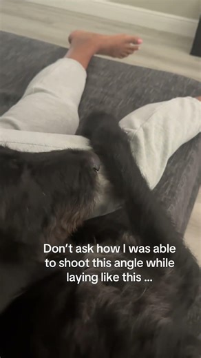 Thanks yoga. #doghumor #dogowners #dogmoms #cutedogvideos