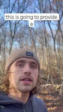 Fallen tree creating future habitat #ecology #nativeplants