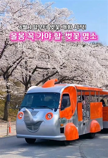 올봄 가야 할 벚꽃 명소🌸 친구,연인,가족과 함께 저장 공유해 올해 벚꽃 투어 부지런히 가시길 바래요😍 각 장소마다 포토존 알려드리니 저장 후 사진 이쁘게 찍으세요:) 📍서울대공원 왕벚나무 약 2000그루 정도로 벚꽃길이 꽤 길고 코끼리열차 주변 길은 벚꽃 열차 사진 많이 찍고 리프트타고 벚꽃구경 꼭 하기 📸 서울대공원 벚꽃 장점 서울보다 사람 상대적으로 덜 붐빔 호수 벚꽃 반영샷 가능(진짜 이쁨!!) 동물원 / 서울랜드 / 피크닉 같이 즐기기 좋음 📍서울숲 공원 벚꽃이라 공간이 넓고 피크닉하기 좋고 햇살받으며 산책 데이트하기 좋음 🌸서울숲 벚꽃 포인트 1️⃣가족마당 근처 벚꽃길 벚꽃 아래 잔디 피크닉 2️⃣뚝섬역 방향 산책로 벚꽃이 길게 이어진 산책길 3️⃣바람의 언덕 근처 벚꽃 잔디 언덕 봄 감성 사진 포인트로 젤 많이 찍음 📍잠실 석촌호수 서울에서 벚꽃 사진 가장 많이 찍히는 명소 TOP1으로 인기있고 호수 둘레 전체가 벚꽃길이라 360도 벚꽃 뷰가 나와요. 🌸석
