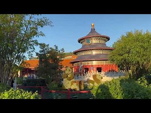 Disney World | Florida Experience