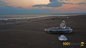 Aniva Beach strand (Aniva beach)