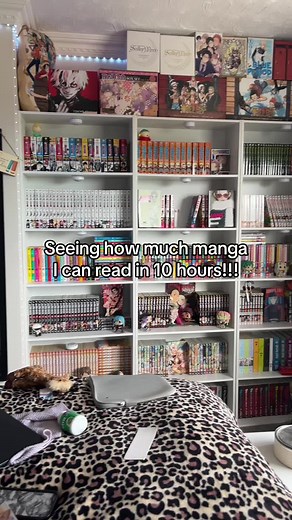 Manga Reading Challenge: 27 Volumes in 10 Hours