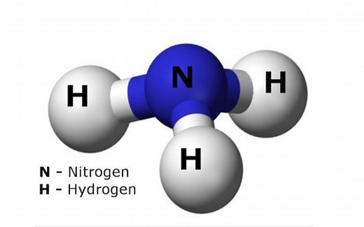 Haber Process and Le Chatelier's Principle【哈伯法合成氨】