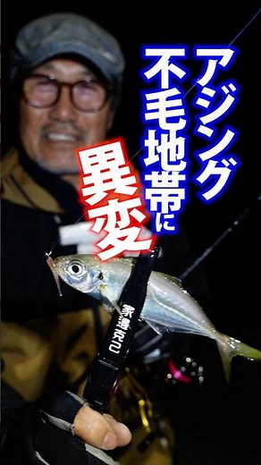 [Good news] Something strange is happening in the barren area of ​​horse mackerel fishing!? Kochi...