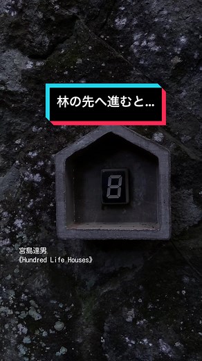 夢だったのかな...と思ってしまうようなアート作品